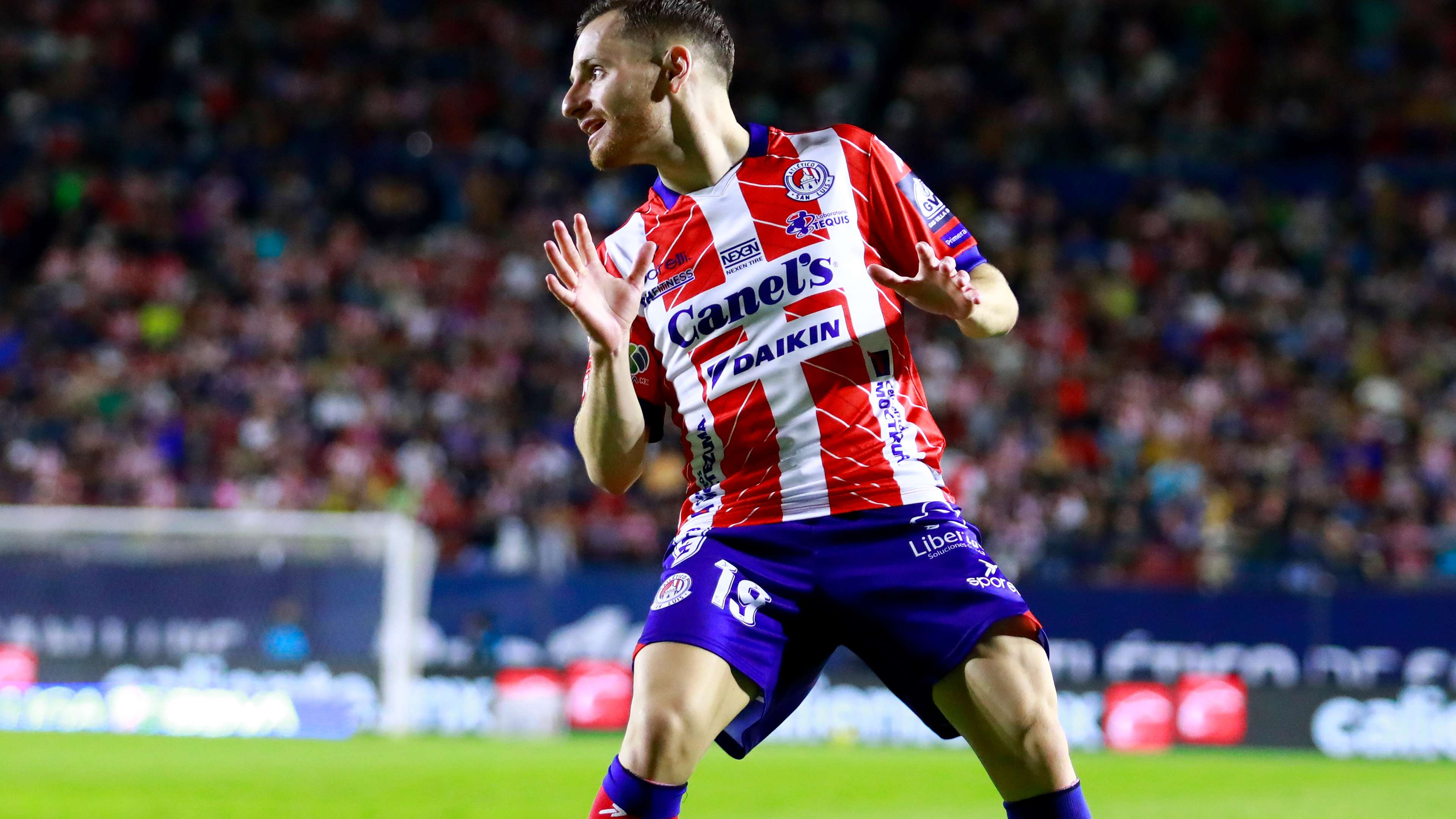 球冠军联赛 球冠军联赛