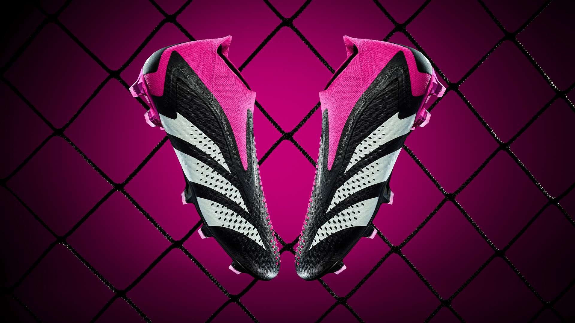 球队参与 球队参与