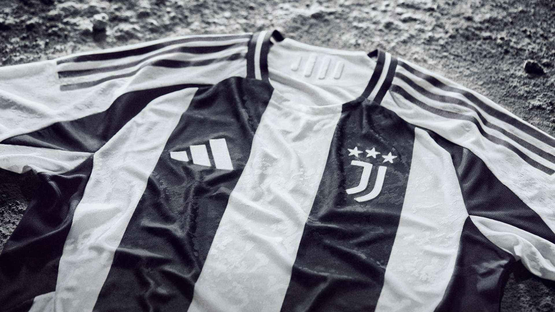 中展现出顽 中展现出顽