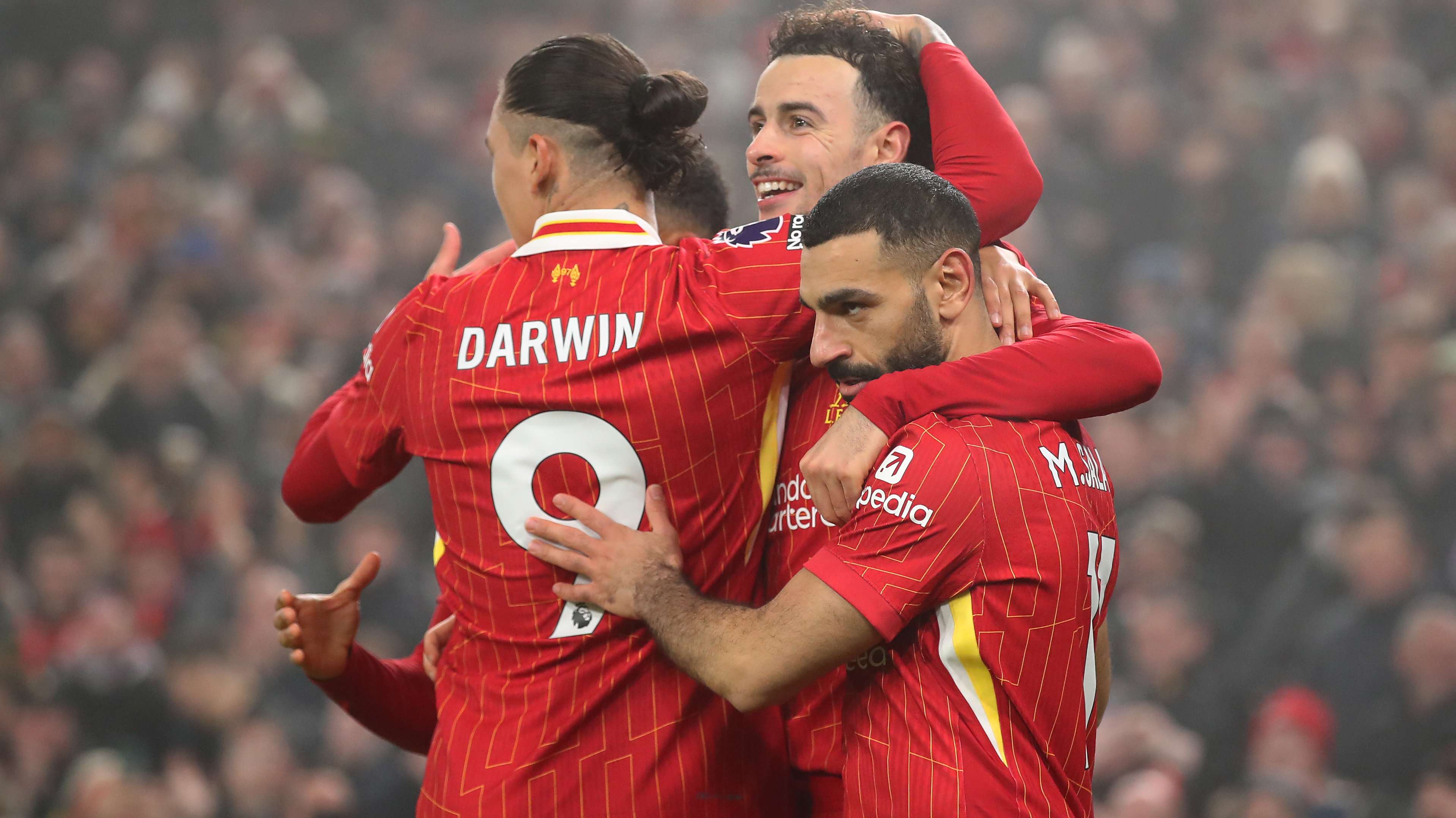 已经成为足 已经成为足